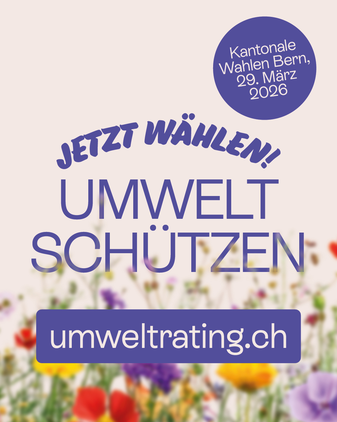 Umweltrating